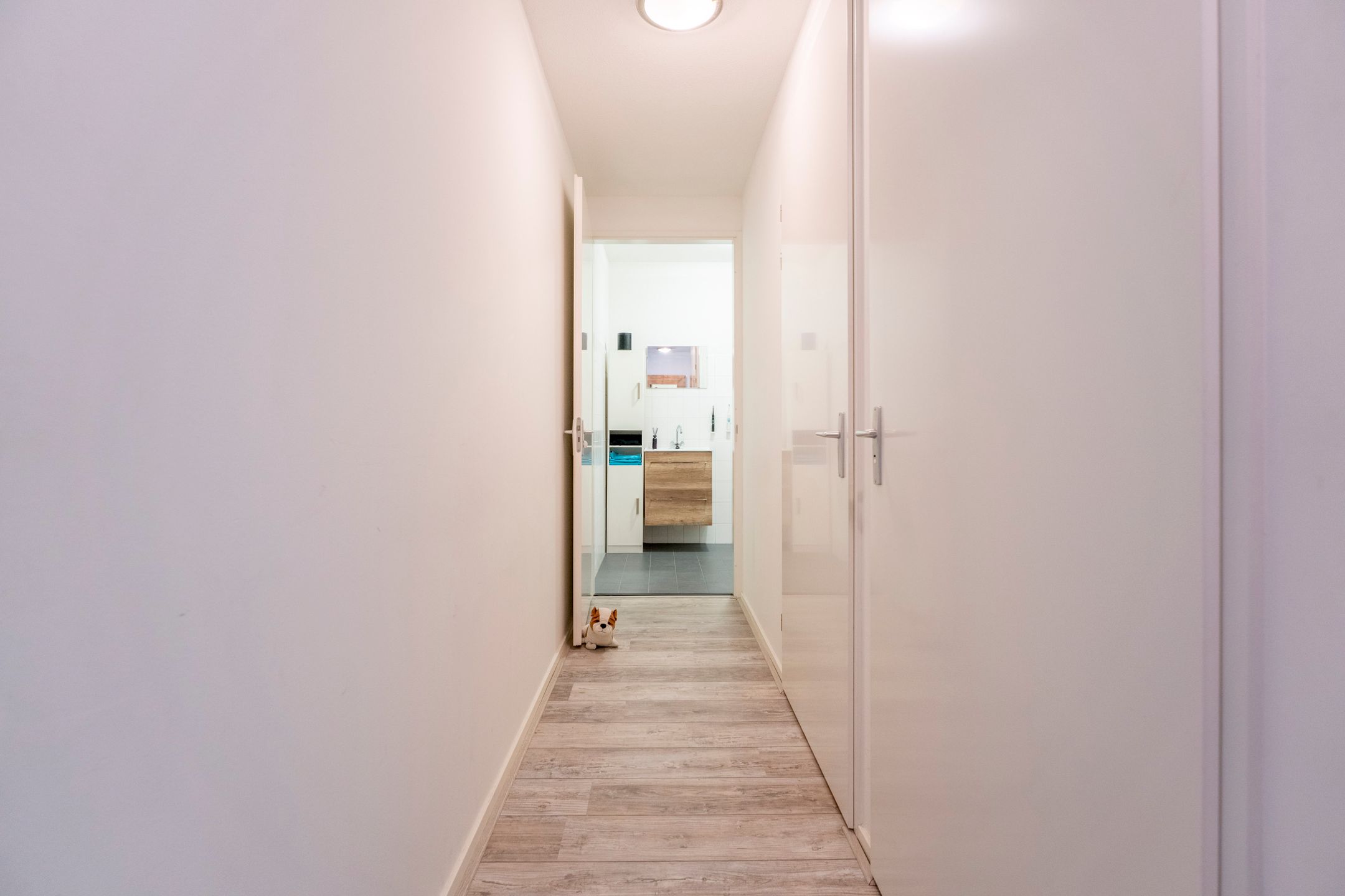 Foto 12 van Hoftuinplein 23