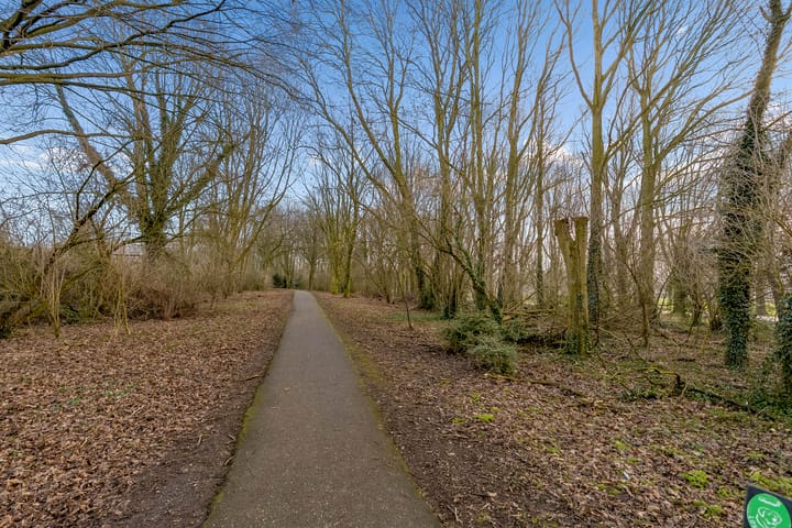 Foto 33 van Woldplantsoen 17