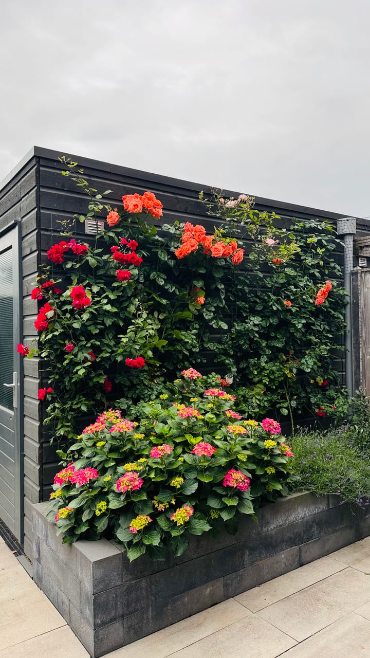 Photo 45 of 1ste Poortstraat 7