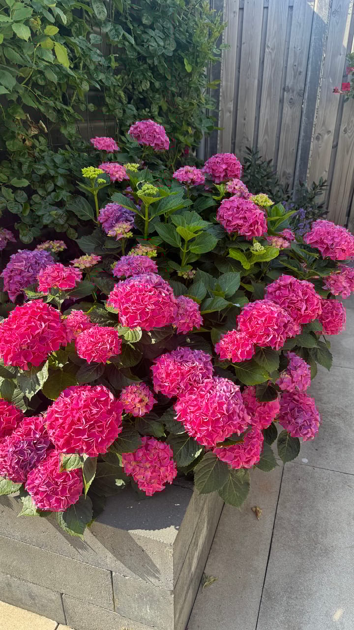 Photo 46 of 1ste Poortstraat 7