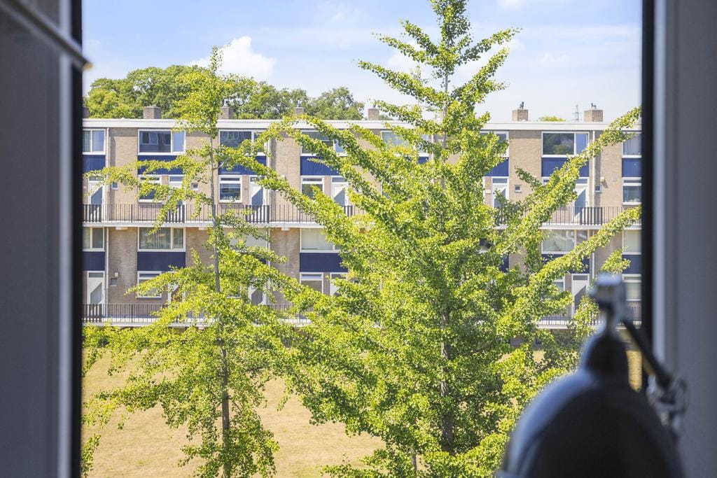 Foto 19 van Roelof van Schevenstraat 31