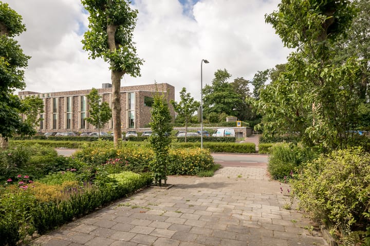 Foto 6 van Duijvenbrug 9