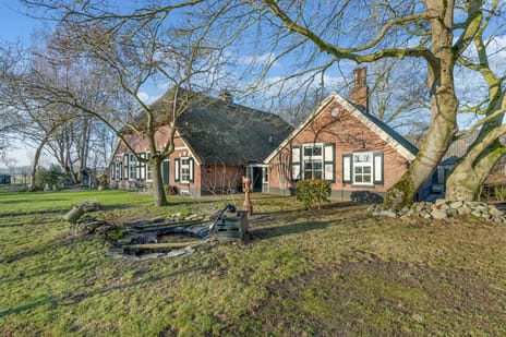 undefined main image