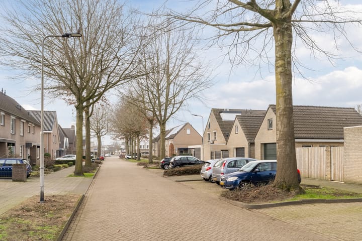 Foto 58 van Hazepad 10