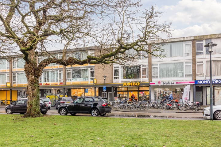 Foto 35 van Manhuisveld 17