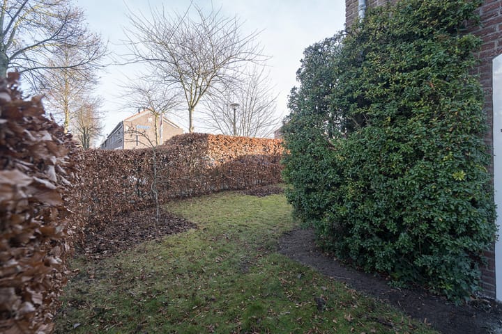 Foto 11 van Van Haestrechtstraat 27