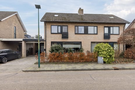 Gladioolstraat thumbnail