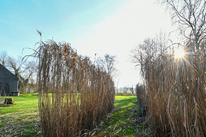 Foto 58 van Bochtstraat 2