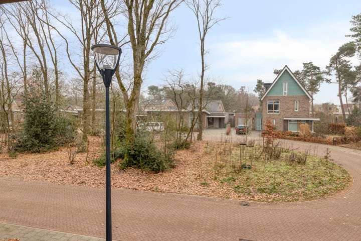 Photo 19 of Heijbunder 7