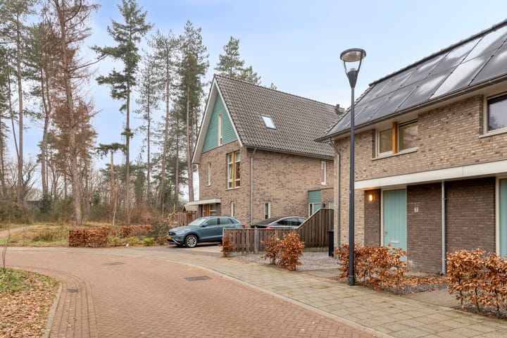 Photo 27 of Heijbunder 7