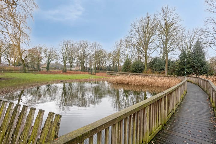 Foto 49 van Soeterstraat 25