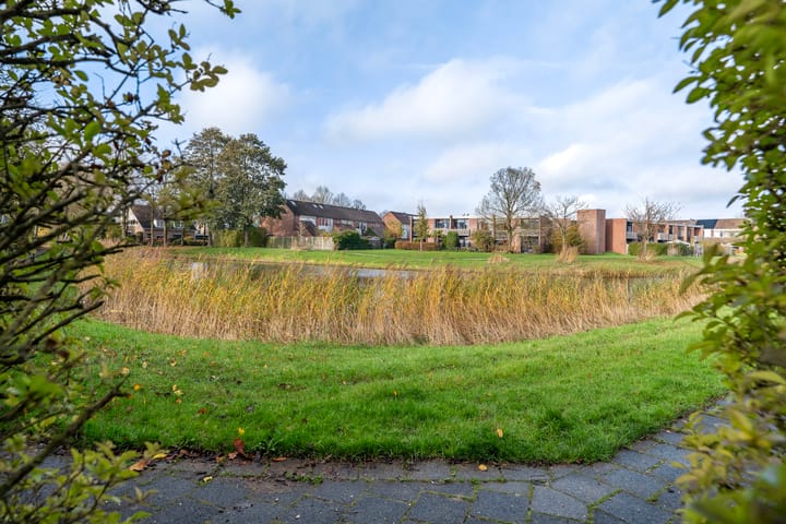 Foto 53 van Tulipastrjitte 42