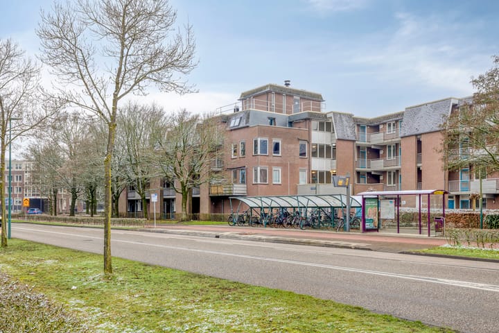 Foto 2 van Paukenlaan 31