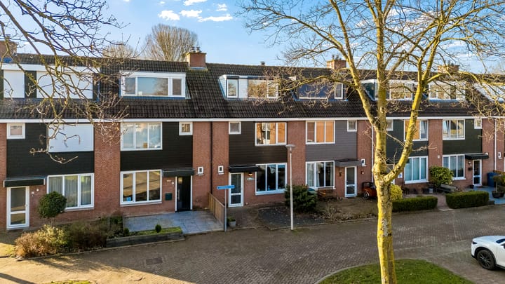 Photo 2 of Salamandersloot 6