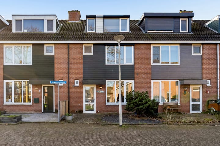 Photo 3 of Salamandersloot 6