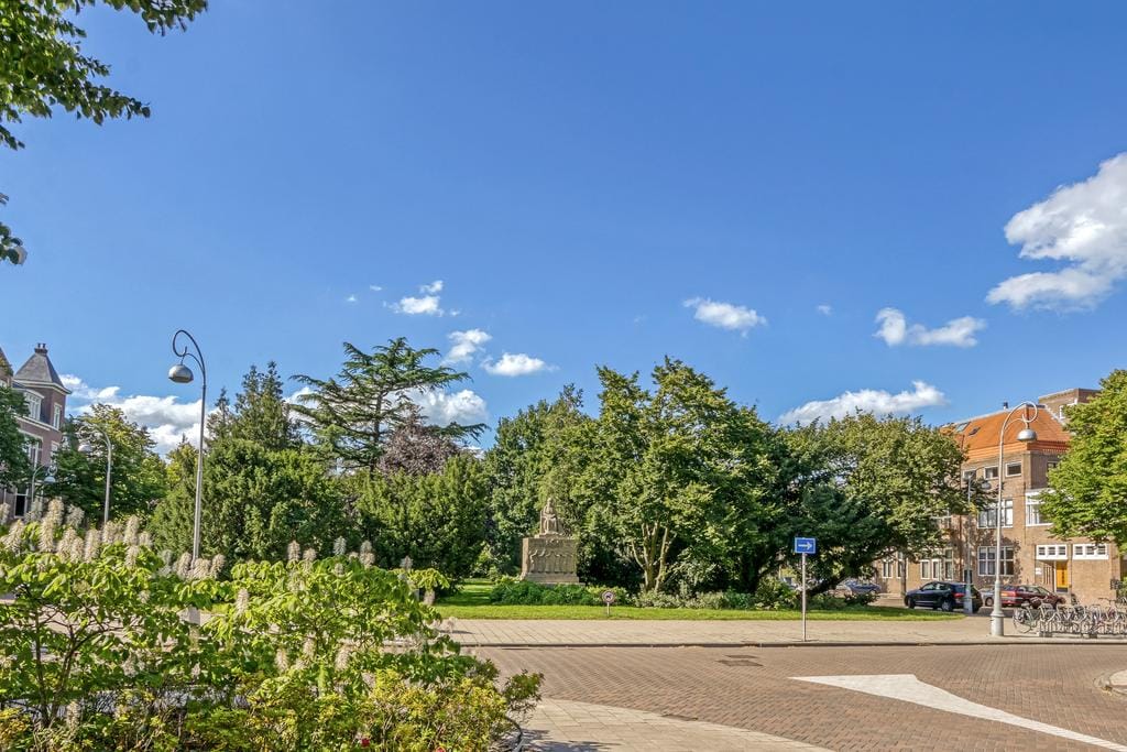 Foto 24 van Koninginneweg 145-3