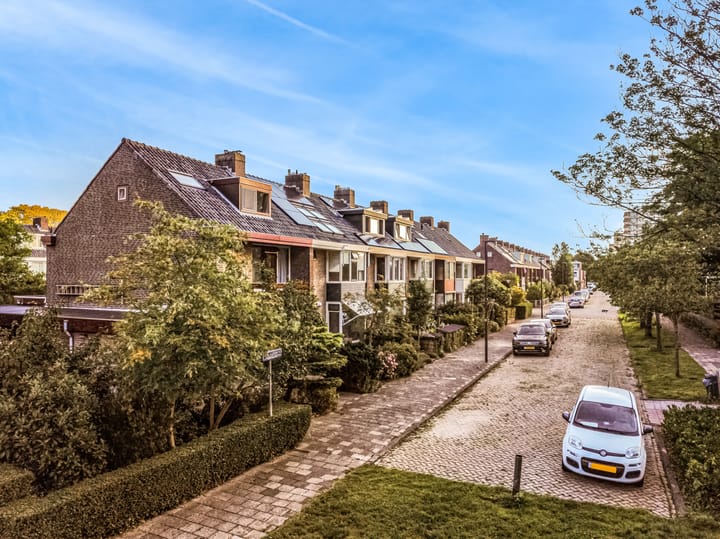 Foto 49 van Tooroplaan 1