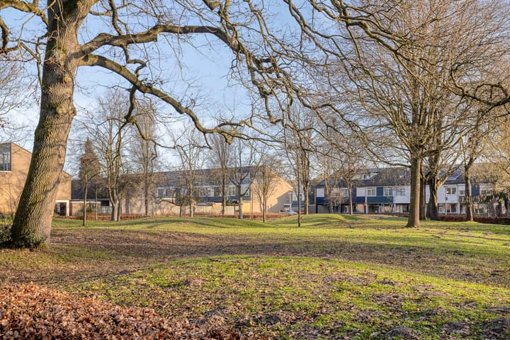 Foto 51 van Swanenburg 236