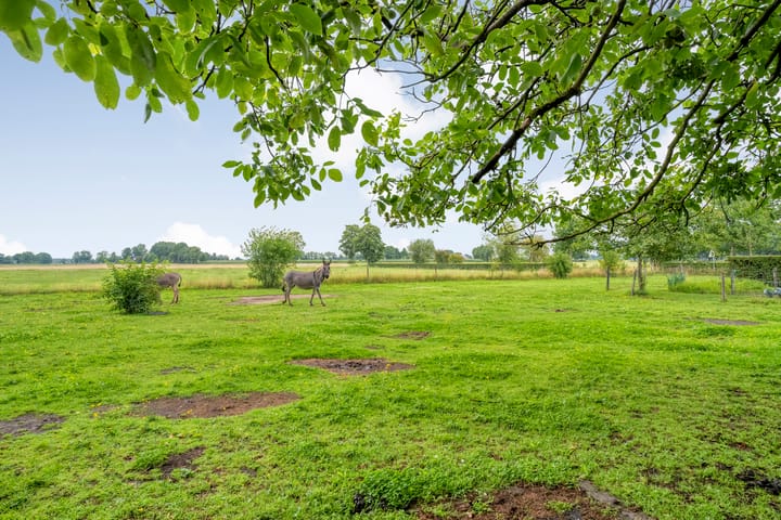 Foto 54 van Vettewinkelweg 2