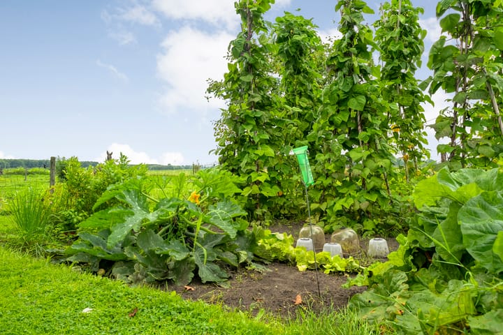 Foto 57 van Vettewinkelweg 2