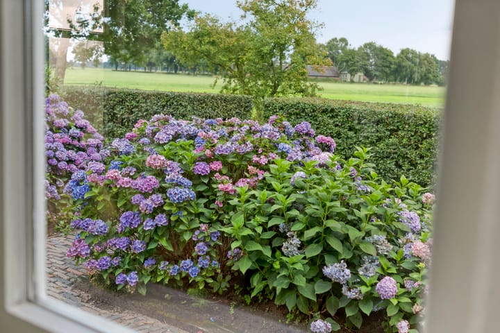 Foto 22 van Vettewinkelweg 2