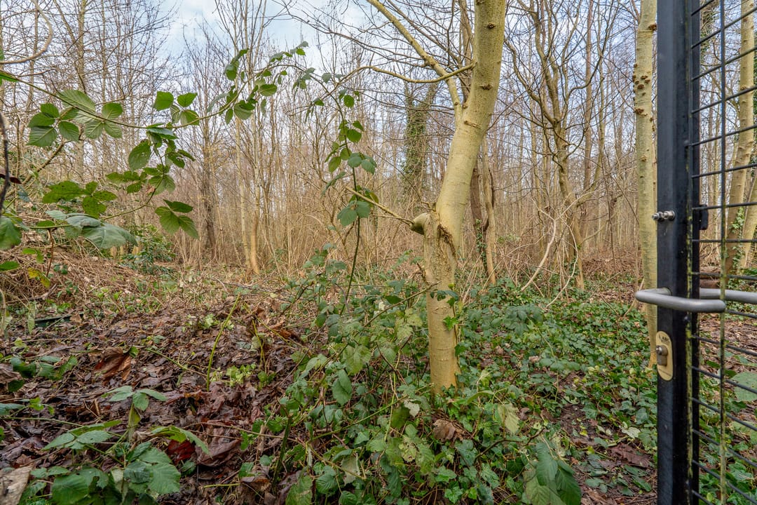 Foto 53 van Korenbeursstraat 4