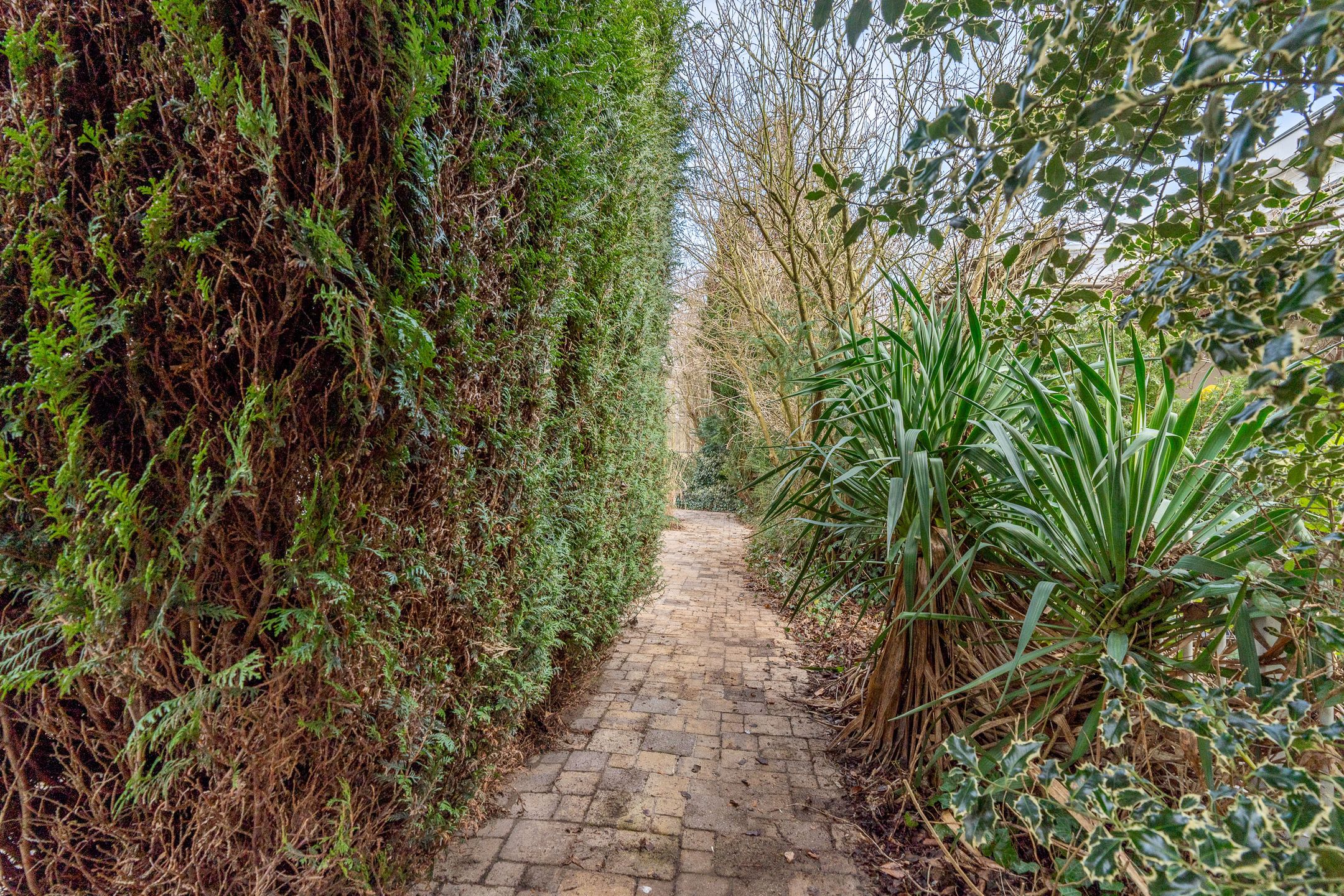 Foto 54 van Korenbeursstraat 4