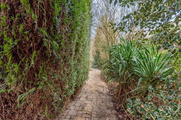 Foto 53 van Korenbeursstraat 4