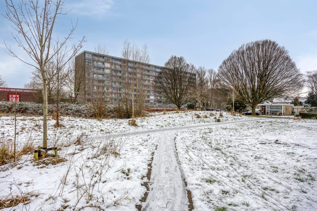 Foto 43 van Avondsterlaan 8
