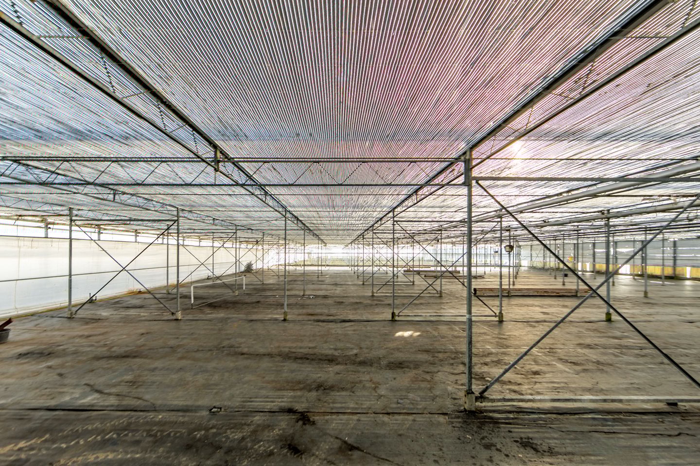 Bekijk foto 2 van Rijnlanderweg 1252