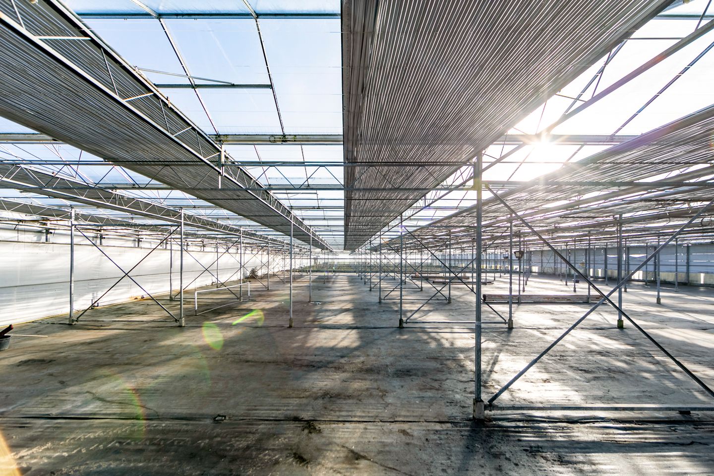 Bekijk foto 3 van Rijnlanderweg 1252