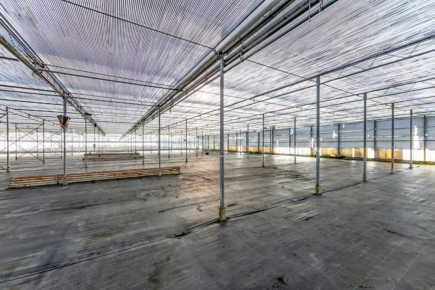 Bekijk foto 5 van Rijnlanderweg 1252