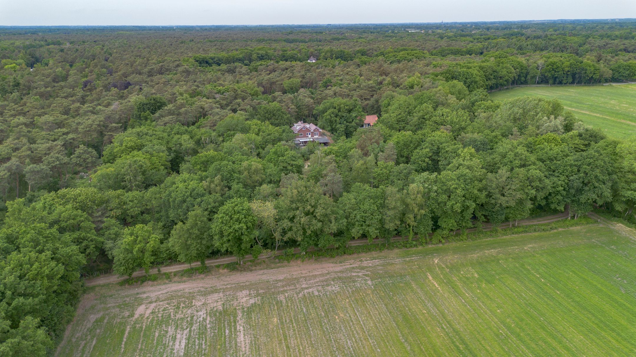 3-bedroom freehold villa in Helvoirt — photo 4 of 5