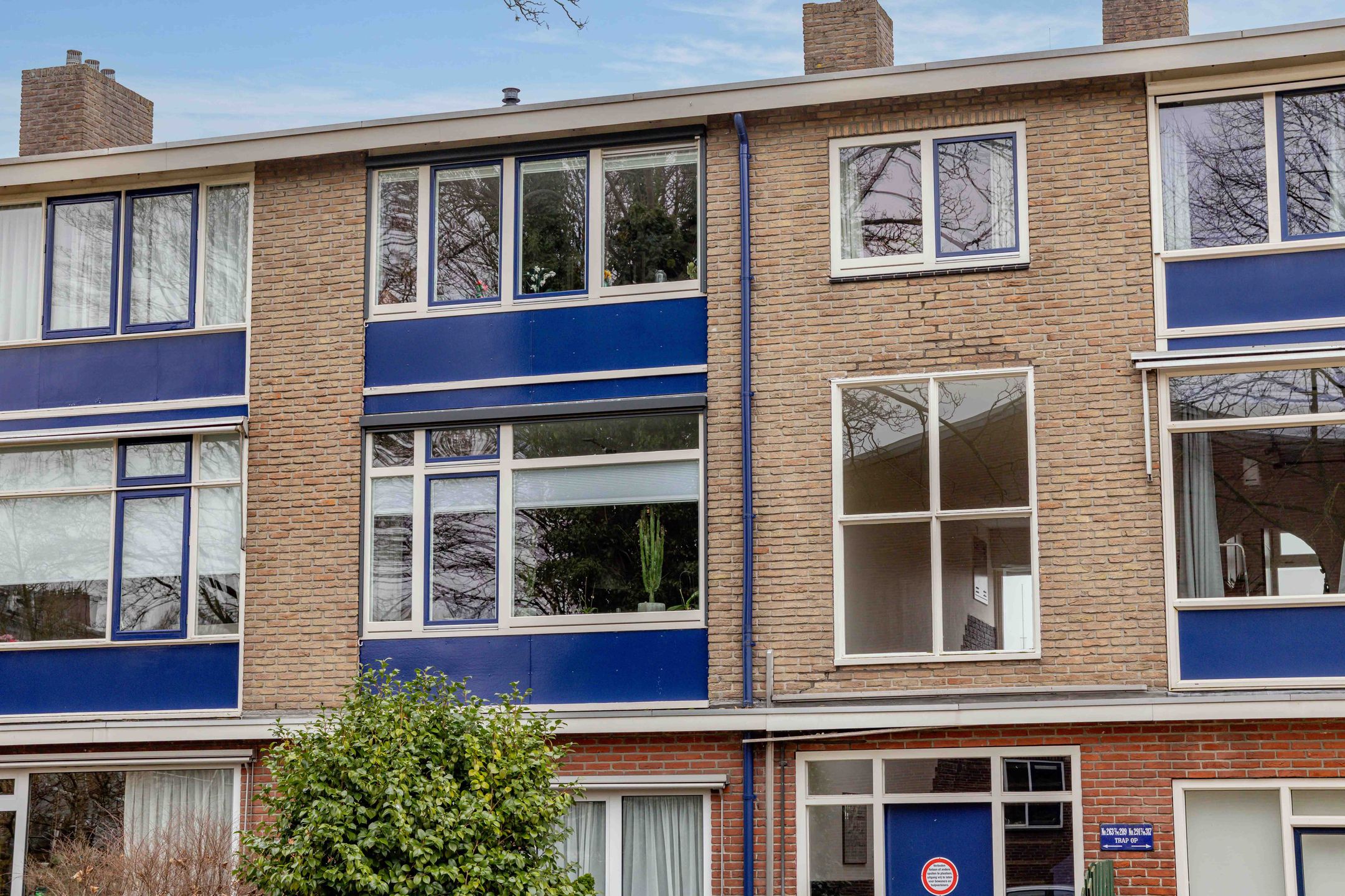 Foto 48 van Tamboerlaan 289