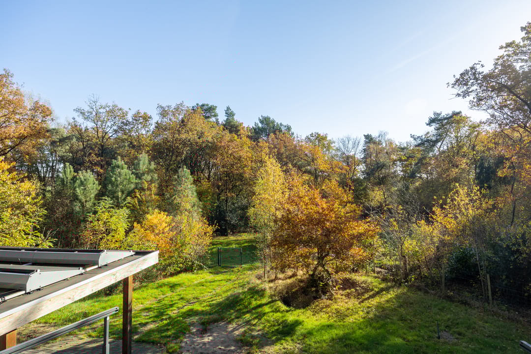 Foto 38 van Guldenberg 3