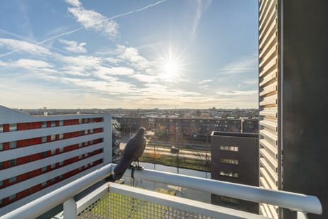 Ladogameerhof 175 tertiary image