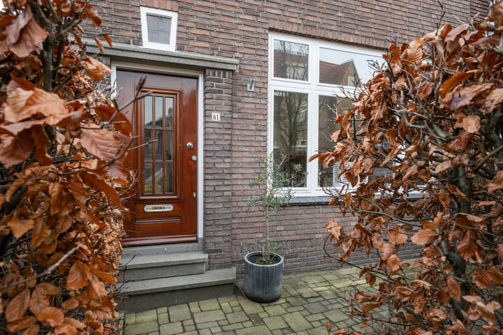 Foto 37 van Jan Steenstraat 61