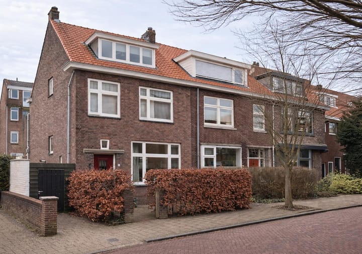 Foto 38 van Jan Steenstraat 61