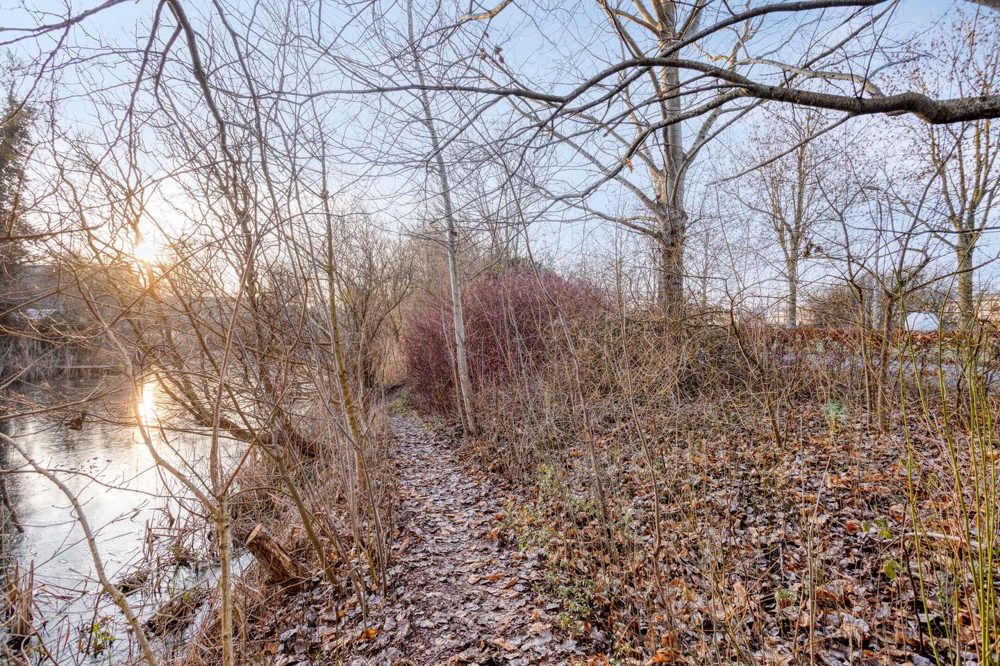 Photo 35 of Patrijspoort 136