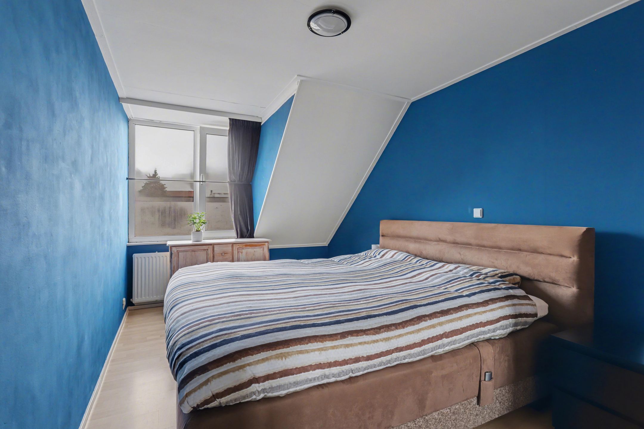 Foto 21 van Gerard Doustraat 17