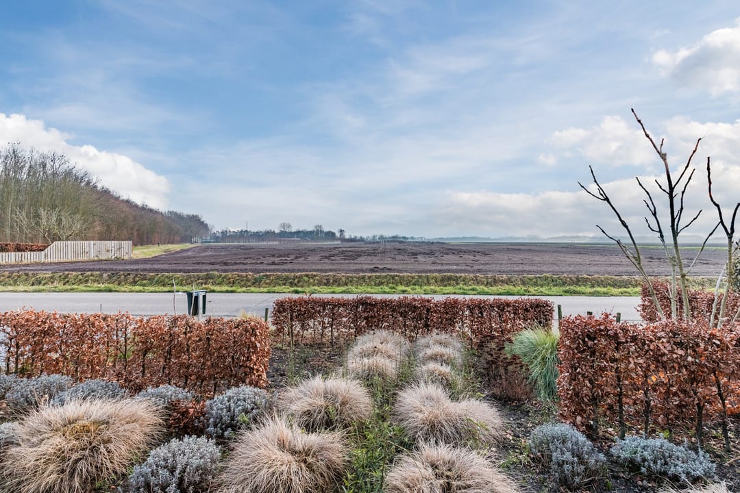 Foto 53 van Rolleweg 54