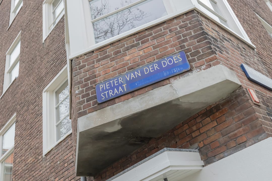 Foto 17 van Pieter van der Doesstraat 42-2