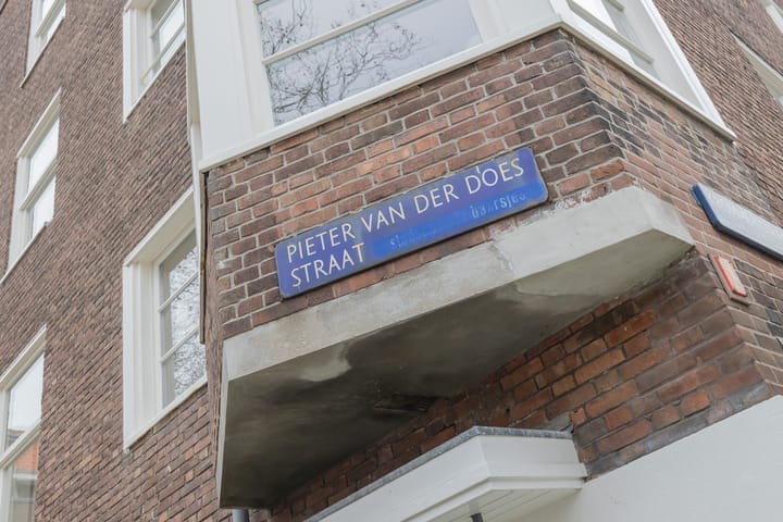 Foto 17 van Pieter van der Doesstraat 42-2