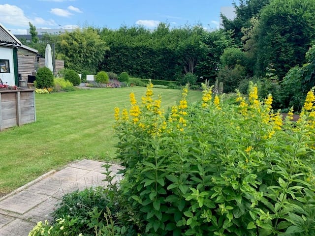 Foto 24 van Kralingseweg 441