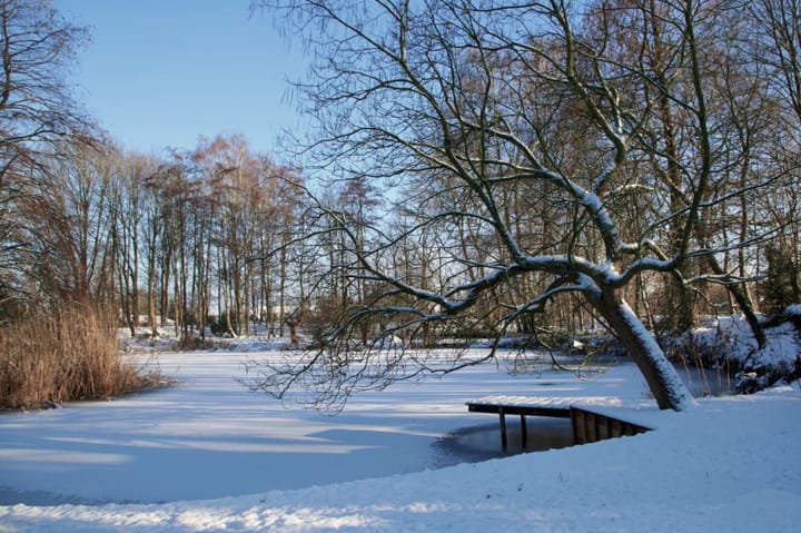 Photo 91 of Runselstraat 10