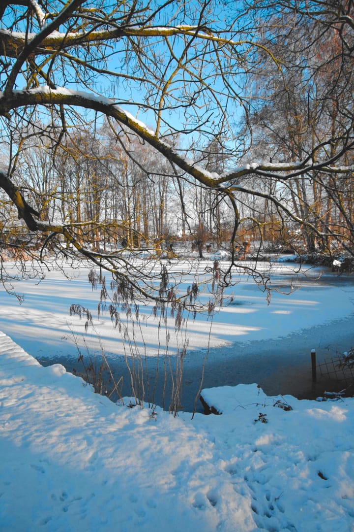 Photo 92 of Runselstraat 10