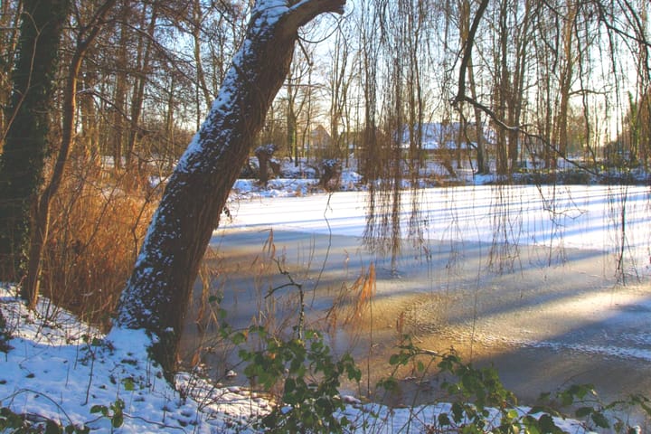 Photo 93 of Runselstraat 10