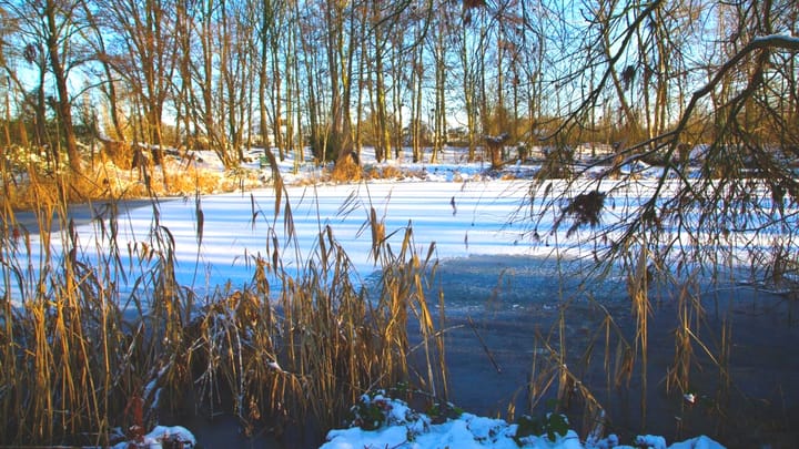 Photo 94 of Runselstraat 10