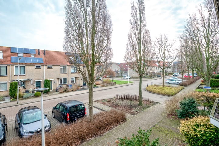 Foto 45 van Gentiaan 44