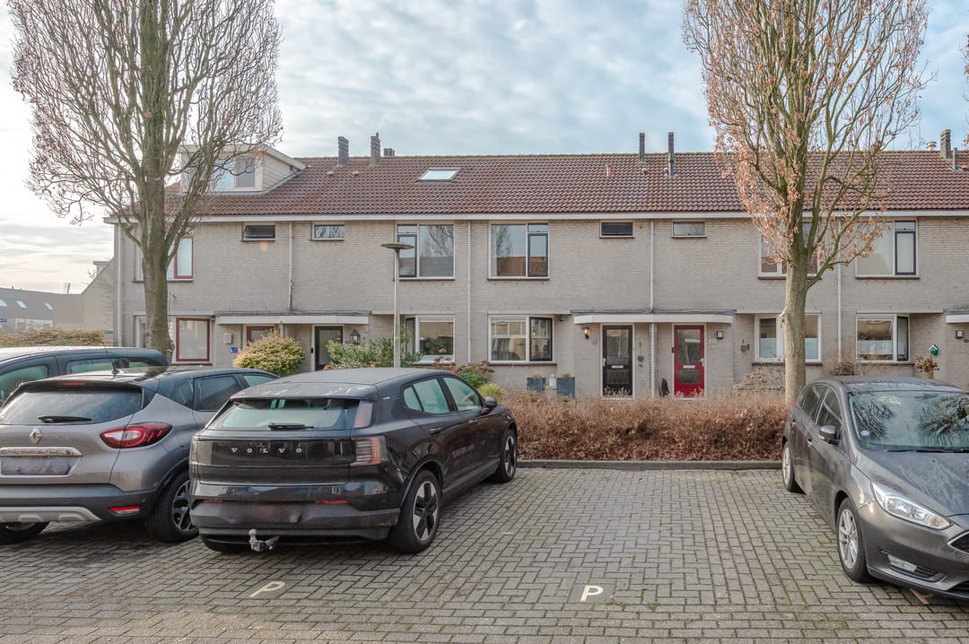 Photo 58 of Gentiaan 44